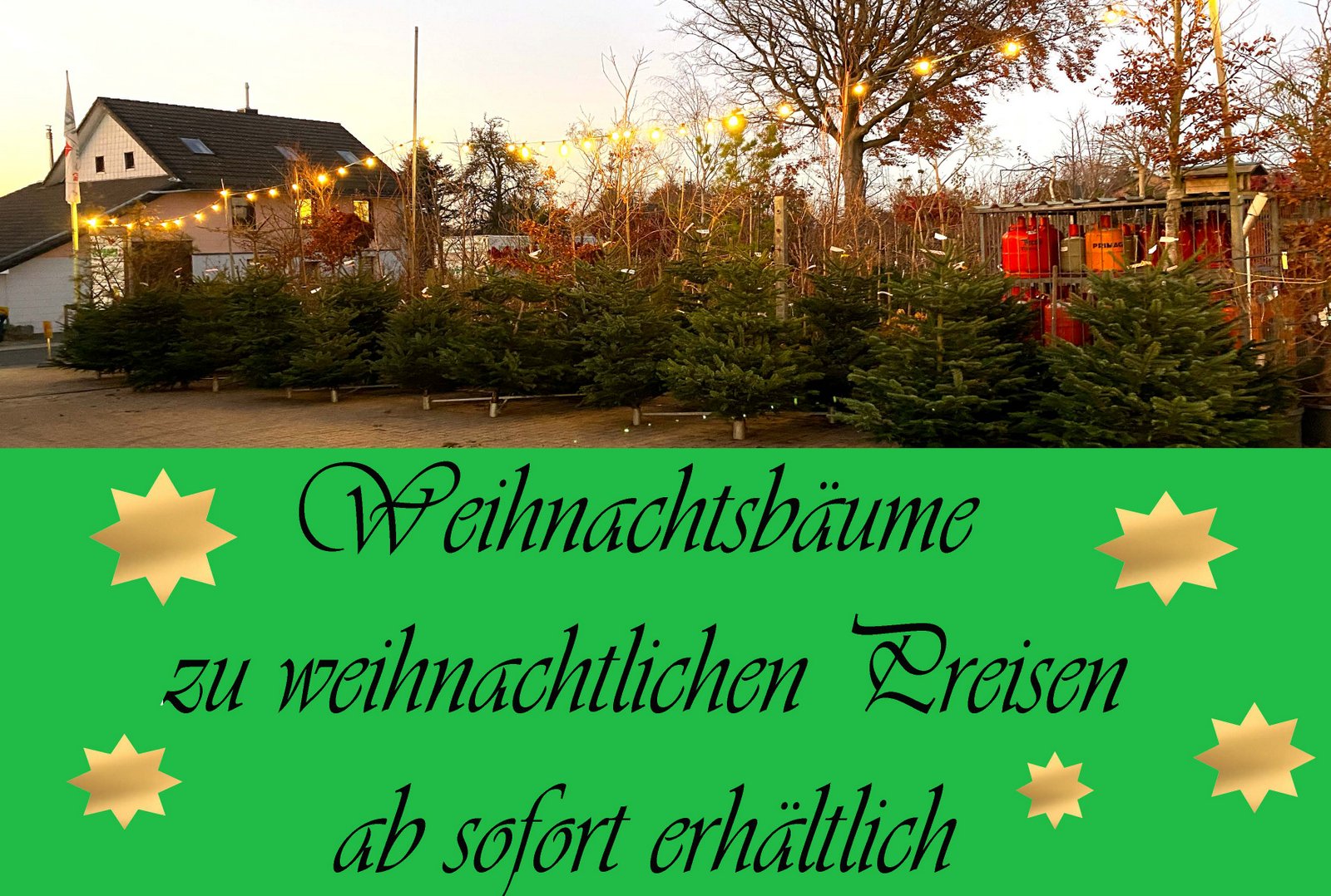 weihnachtsbaeume-2021